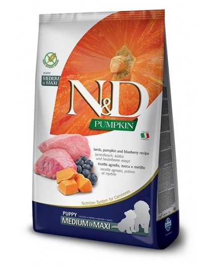 FARMINA N&D GF PUMPKIN DOG LAMB&BLUEBERRY PUPPY MEDIUM/MAXI 12kg