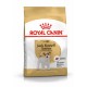 ROYAL CANIN Jack Russell Adult dry dog food - 1.5 kg