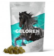 GELOREN Horse HA Joints - vitamins for horses - 450g