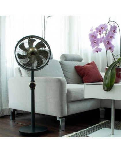 Stylies Uranus Anthracite, Bronze