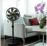 Stylies Uranus Anthracite, Bronze