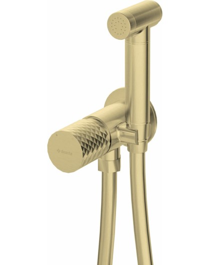 Concealed bidet faucet with bidetta handset