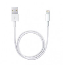 Apple Lightning to USB Cable (0.5 m)