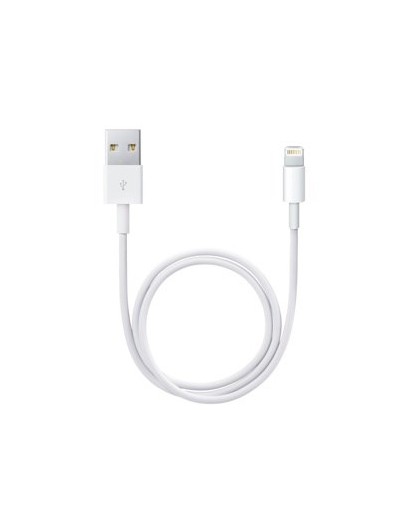 Apple Lightning to USB Cable (0.5 m)