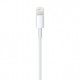 Apple Lightning to USB Cable (0.5 m)