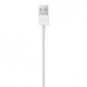 Apple Lightning to USB Cable (0.5 m)