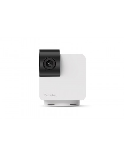Pet camera - Petcube Cam 360