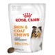 ROYAL CANIN Supplements Dog Skin & Coat Adult - dog vitamins - 240g