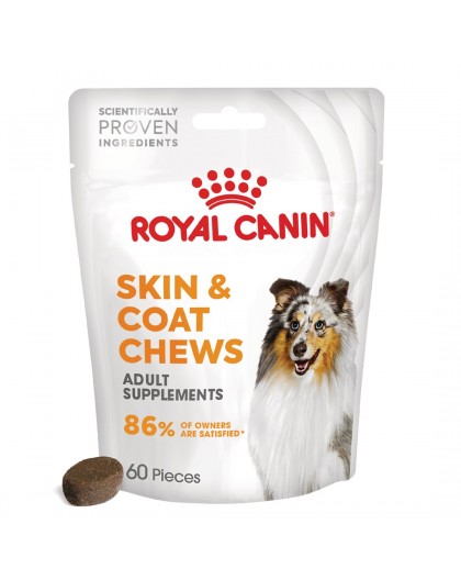 ROYAL CANIN Supplements Dog Skin & Coat Adult - dog vitamins - 240g