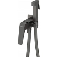 Concealed bidet battery