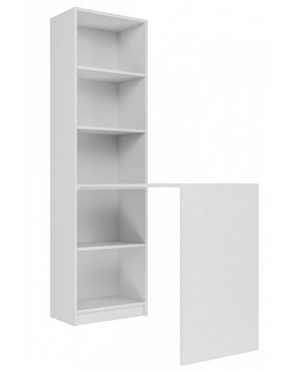 Topeshop R50 BIEL Z BIURKIEM computer desk White