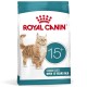 ROYAL CANIN Ageing 15+ - dry cat food - 400g