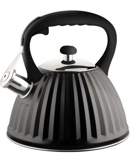 PROMIS Kettle 3.0 l, ANTONIO, matte black, black handle