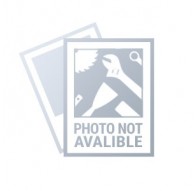 Graphite 59G888 power universal cutter