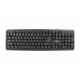 Esperanza TKR101 keyboard Office USB QWERTY English, Russian Black