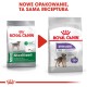 ROYAL CANIN Mini Sterilised - сухой корм для взрослых собак мелких пород после стерилизации - 1 кг