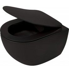 Rimless wall-hung toilet