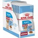 ROYAL CANIN SHN Medium Puppy in sauce - wet puppy food - 10x140g
