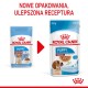 ROYAL CANIN SHN Medium Puppy kastmes - niiske kutsikattoit - 10x140g