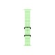 Apple Black Titanium Finish Band Green Fluoroelastomer, Titanium