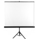 Avtek Tripod Standard 200 projection screen 1:1