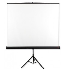Avtek Tripod Standard 200 projection screen 1:1