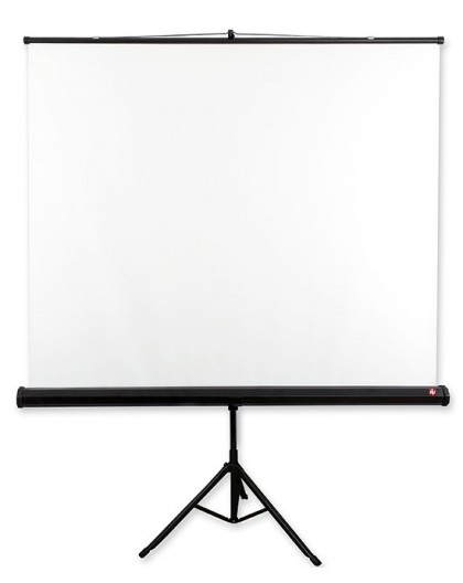 Avtek Tripod Standard 200 projection screen 1:1