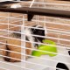 FERPLAST Casita 80 - cage for guinea pig and rabbit