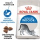 Royal Canin FHN Indoor - dry food for adult cats - 4kg