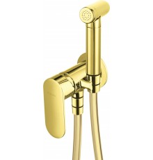 Concealed bidet mixer with bidetta shower head