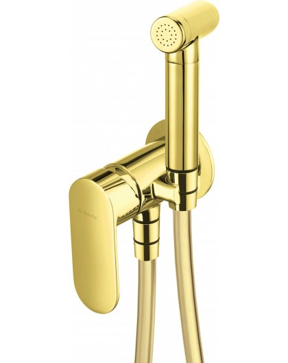 Concealed bidet mixer with bidetta shower head
