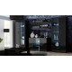 Cama display cabinet SOHO S6 2D2S black/black gloss