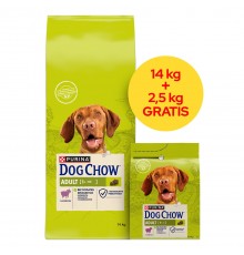 PURINA Dog Chow Adult Lamb - dry dog food - 14 + 2,5kg