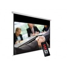 Avtek Business Electric Screen 300P