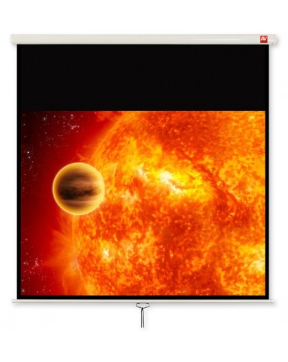 Avtek International Video 200 projection screen 4:3