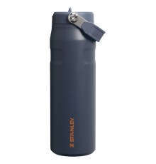 Stanley 1913 10-11283-146 Daily usage 700 ml Stainless steel Blue