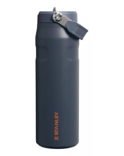 Stanley 1913 10-11283-146 Daily usage 700 ml Stainless steel Blue