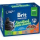 BRIT Premium Cat Sterilised Plate - wet cat food - 12x100g