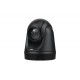 AVer DL30 webcam 2 MP 1920 x 1080 pixels USB Black
