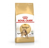 ROYAL CANIN FBN Bengal Adult - dry cat food - 10kg