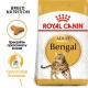 ROYAL CANIN FBN Bengal Adult - dry cat food - 10kg