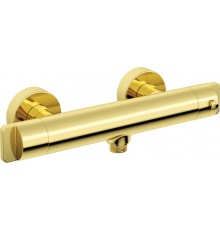 Termostaatiline duššisegisti