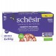 SCHESIR in jelly Tuna with beef - wet cat food - 6 x 50 g