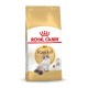 Royal Canin FBN Ragdoll Adult dry cat food 2 kg