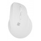 NATEC Crake 2 mouse Universal Right-hand RF Wireless + Bluetooth Optical 2400 DPI