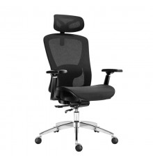 Expert 5.3 Black Mesh Swivel Chair