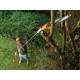 800W chain saw for branches PS7525-QS BDE