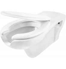 Wall-hung toilet for people with reduced mobility