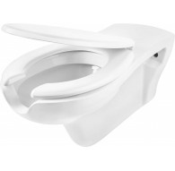 Wall-hung toilet for people with reduced mobility