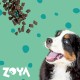 ZOYA ColdPRO Deer - dry dog food - 1kg